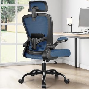 FelixKing Ergonomic Office Chair, Headrest Desk Chair with Adjustable Lumbar Support, Home Office Swivel Task Chair with High Back and Armrest, Adjustable Height Gaming